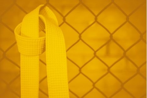 Yellow belt lean 6 sigma