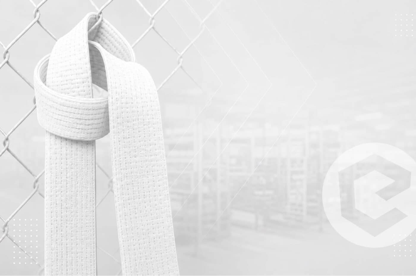 Formation White belt lean management
